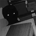 Ѱ��α����������