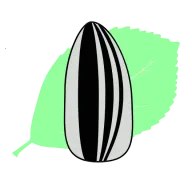 ����Ӱ��(Ӱ����Դ��������)