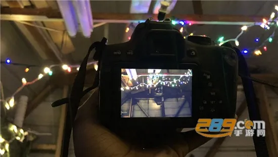 MaldiVes2026���°汾