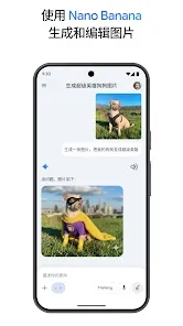 nano banana 2(�ȸ�ͼ������)v1.0.1 �ٷ������ͼ0