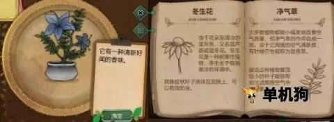 ����԰��(ֲ�������Ϸ)