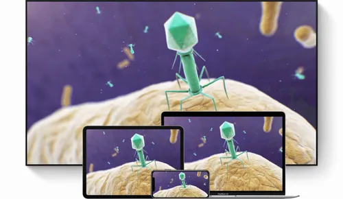 ��ѧԺ2026���ذ�װ