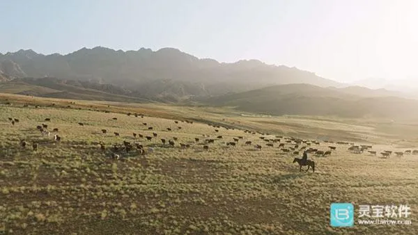 ȫ�ۺ�TV��׿���ֻ���