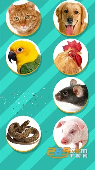 ���﷭����ȫ������v6.2.369 �ֻ����ͼ2