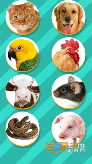 ���﷭����ȫ������v6.2.369 �ֻ����ͼ1