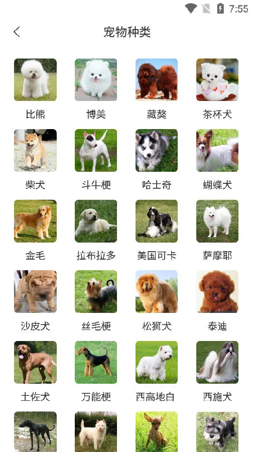 ���﷭����ȫ������