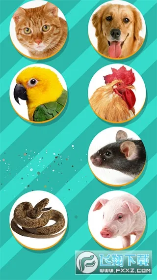 ���﷭����ȫ������v6.2.369 �ֻ����ͼ0