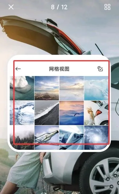 ���������2026�ٷ����°汾