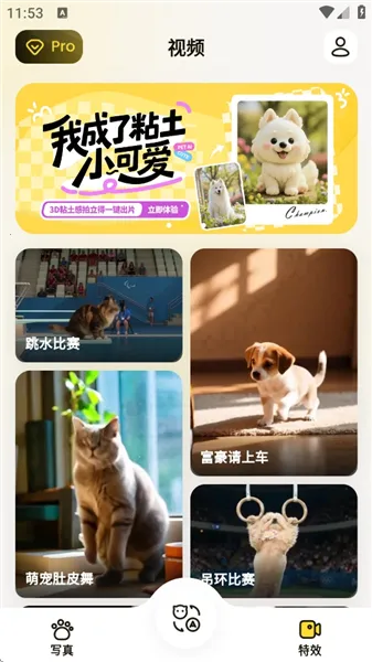 ����(�������蹤��)