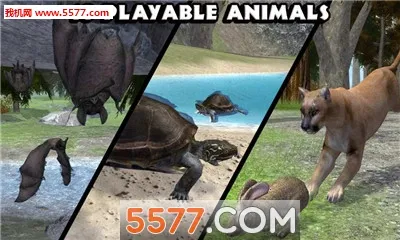 ForestSim��׿���ֻ���v1.2 �ֻ����ͼ0