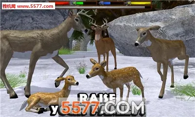 ForestSim��׿���ֻ���v1.2 �ֻ����ͼ1