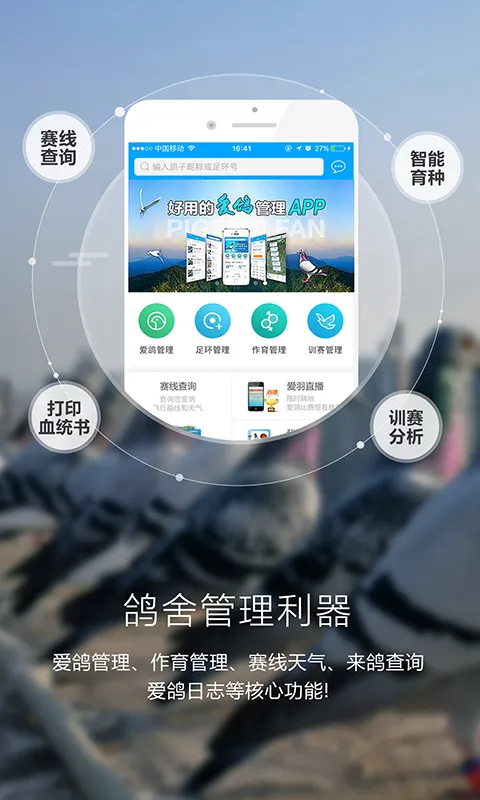 爱鸽者最新手机版 爱鸽者最新手机版