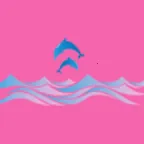 �涯���2026�ٷ�����