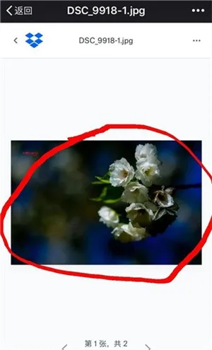 dropbox2026���ذ�װ