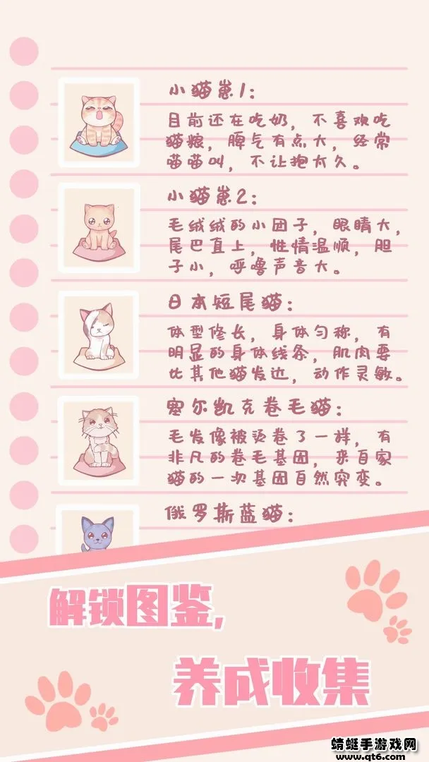 ��ߣè��2026�ٷ����°汾v1.0.24 ��׿���ͼ2