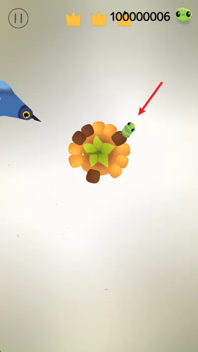 疯狂的鸽子(休闲闯关游戏) 疯狂的鸽子(休闲闯关游戏)