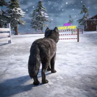 ��ģ���� 3D(��ģ����Ϸ)