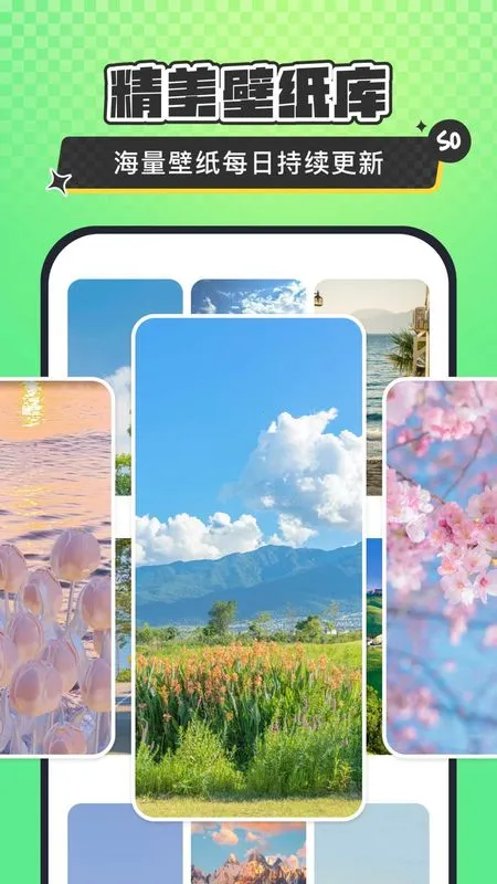 SoWidgetsС�����׿���ֻ���v2.0.17 �ٷ������ͼ3