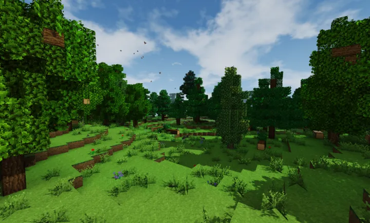 ����ս������֮���Ӱ��Ч(Survivalcraft��Ӱ��)vAPI1.8.2.3 ��׿���ͼ3