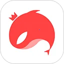 ����2026���ذ�װ