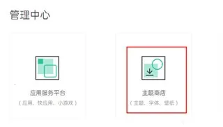 Theme Store(������������)