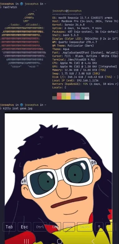 chuchu2026下载安装 chuchu2026下载安装
