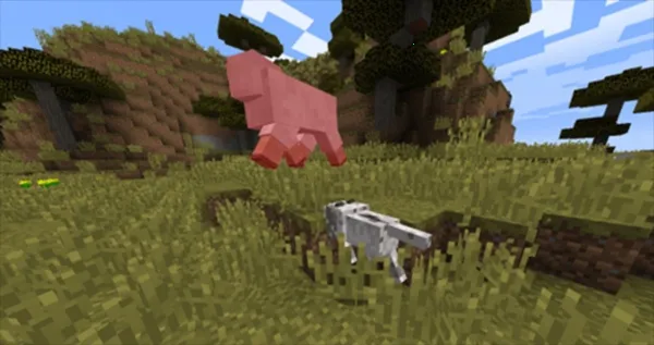 CAT�Ƽ�2026�ٷ�����v1.0 ��׿���ͼ1