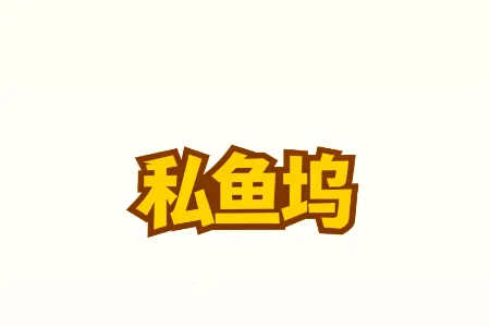 ˽����(��������Ƶƽ̨)