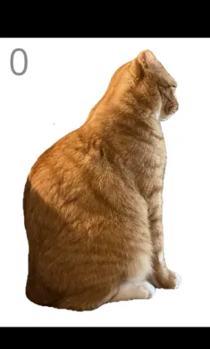 ��è��ë2026���ذ�װv1.0 �ٷ������ͼ2