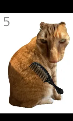 ��è��ë2026���ذ�װv1.0 �ٷ������ͼ3