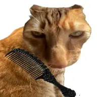 ��è��ë2026���ذ�װ