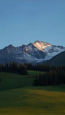 RawPix(��ֽ��Դƽ̨)v1.4.18 �ٷ������ͼ0