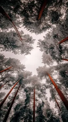 RawPix(��ֽ��Դƽ̨)v1.4.18 �ٷ������ͼ2