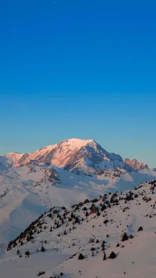 RawPix(��ֽ��Դƽ̨)v1.4.18 �ٷ������ͼ3