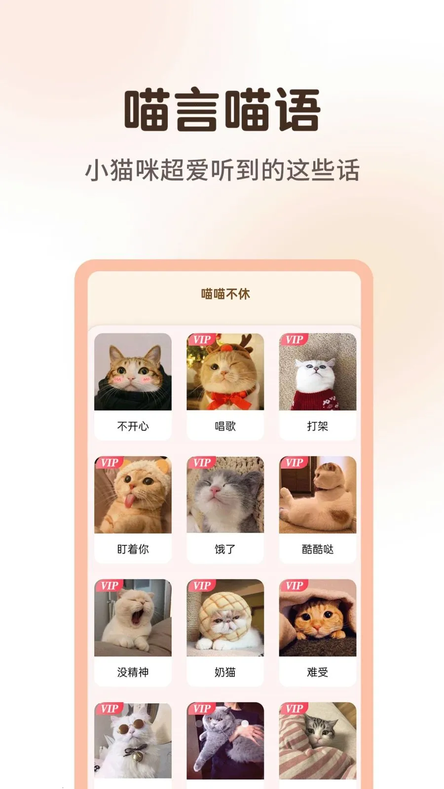 ����è�����﷭����2026�ٷ����°汾v1.0.3 ��׿���ͼ3