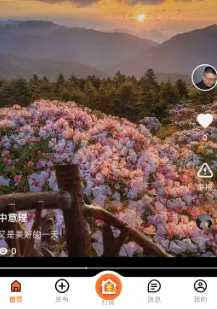 ����YOWO�����ֻ���