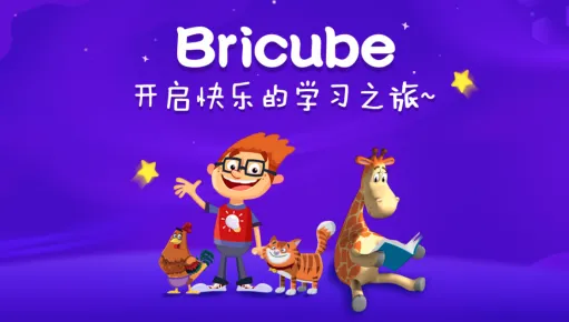 Bricubeѧ��(ѧ������ѧϰ����)