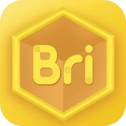 Bricubeѧ��(ѧ������ѧϰ����)