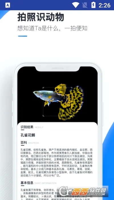 百科扫描王(扫描识图软件) 百科扫描王(扫描识图软件)