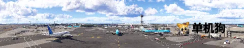 微软模拟飞行2026官方最新版本 微软模拟飞行2026官方最新版本
