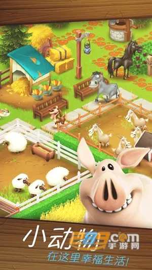 Hay Day2026官方最新版本 Hay Day2026官方最新版本