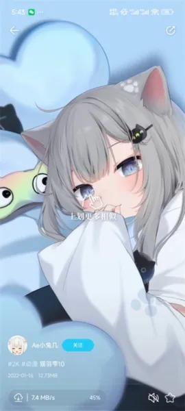 星咩视频壁纸安卓版手机版 星咩视频壁纸安卓版手机版