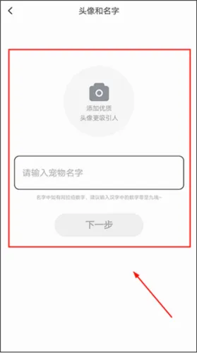 友猫2026官方最新版本 友猫2026官方最新版本