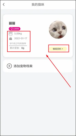 友猫2026官方最新版本 友猫2026官方最新版本