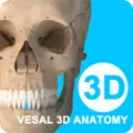 ά����3D���ʰ�׿���ֻ���