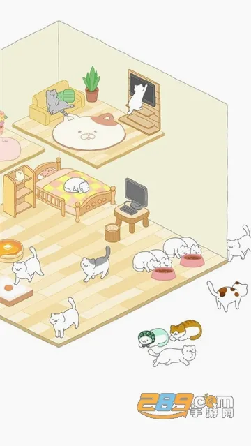 猫咪很可爱最新手机版 猫咪很可爱最新手机版