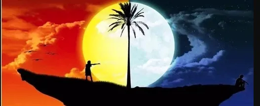 ����2026�ٷ����°汾