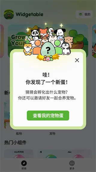 Widgetable2026官方最新版本 Widgetable2026官方最新版本