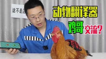 宠物翻译器(宠物交流工具) 宠物翻译器(宠物交流工具)