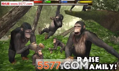 ���ֶ���ģ���������ֻ���v1.2 �ֻ����ͼ3